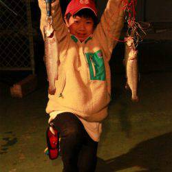 としまえんフィッシングエリア 釣果