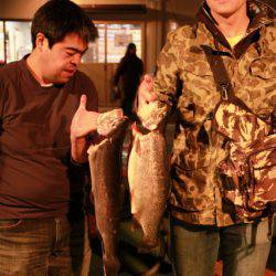 としまえんフィッシングエリア 釣果