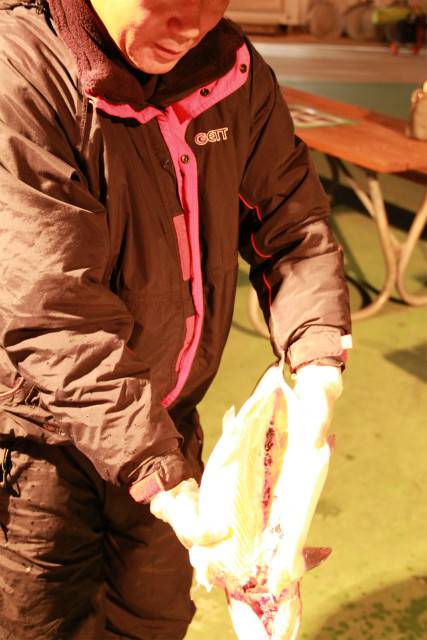 としまえんフィッシングエリア 釣果