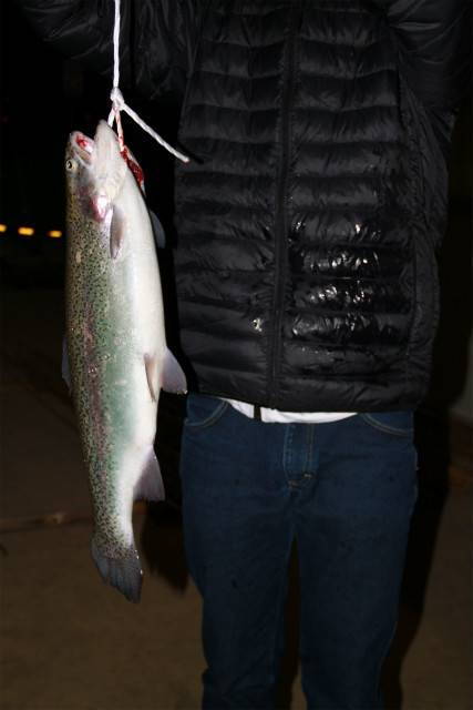 としまえんフィッシングエリア 釣果