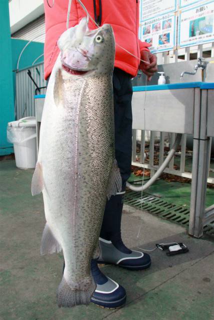 としまえんフィッシングエリア 釣果