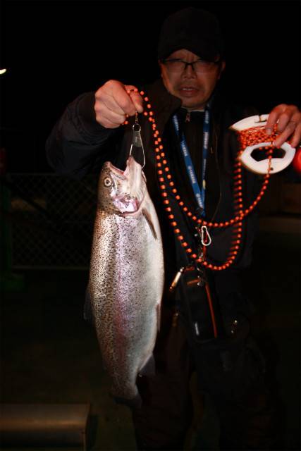 としまえんフィッシングエリア 釣果