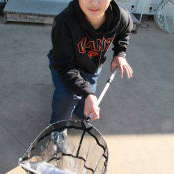 としまえんフィッシングエリア 釣果