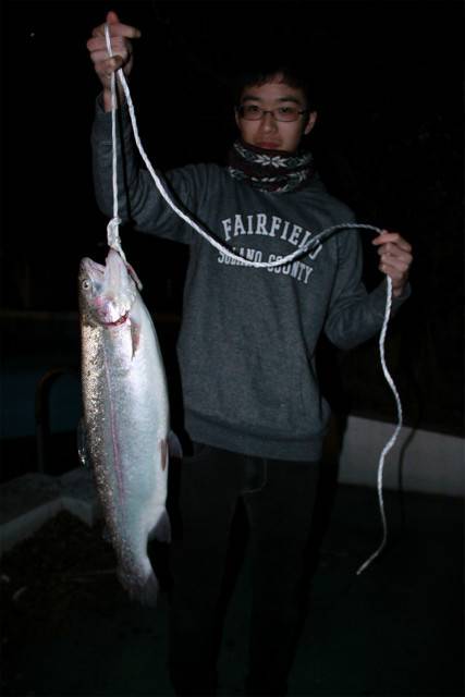 としまえんフィッシングエリア 釣果