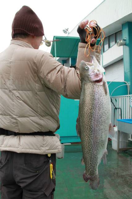としまえんフィッシングエリア 釣果