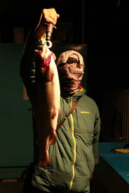 としまえんフィッシングエリア 釣果