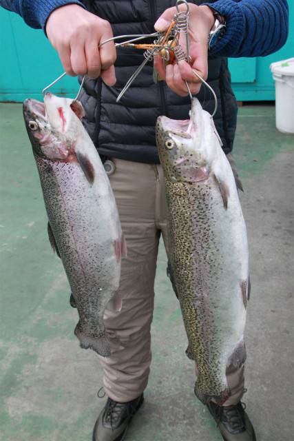 としまえんフィッシングエリア 釣果