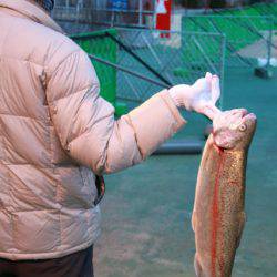 としまえんフィッシングエリア 釣果