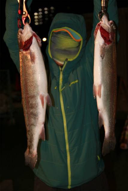 としまえんフィッシングエリア 釣果