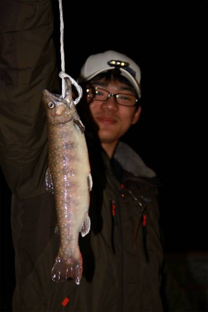 としまえんフィッシングエリア 釣果