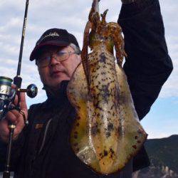 渡船屋たにぐち 釣果