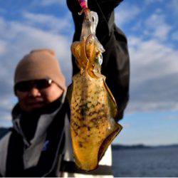 渡船屋たにぐち 釣果