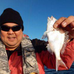 渡船屋たにぐち 釣果