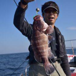 渡船屋たにぐち 釣果