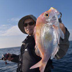 渡船屋たにぐち 釣果