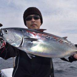 渡船屋たにぐち 釣果