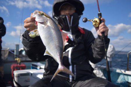 渡船屋たにぐち 釣果