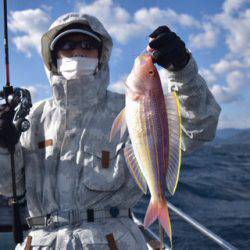 渡船屋たにぐち 釣果