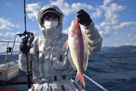 渡船屋たにぐち 釣果