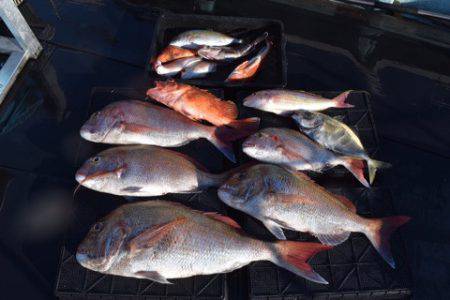 渡船屋たにぐち 釣果