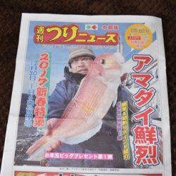 渡船屋たにぐち 釣果