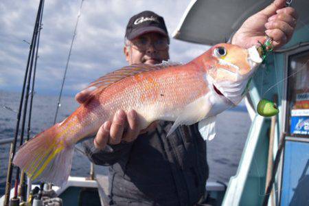 渡船屋たにぐち 釣果
