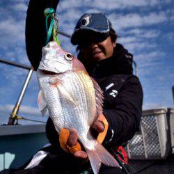 渡船屋たにぐち 釣果