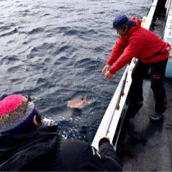 渡船屋たにぐち 釣果