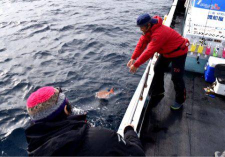 渡船屋たにぐち 釣果