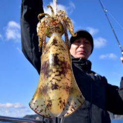 渡船屋たにぐち 釣果