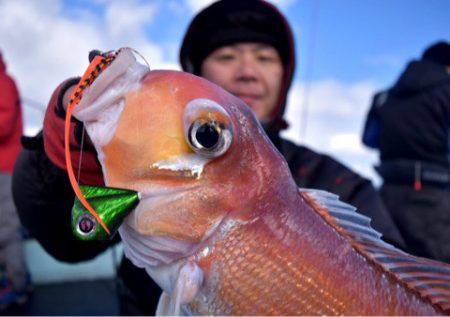 渡船屋たにぐち 釣果