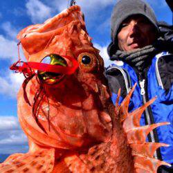 渡船屋たにぐち 釣果