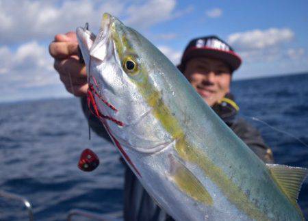 渡船屋たにぐち 釣果