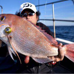 渡船屋たにぐち 釣果