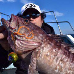 渡船屋たにぐち 釣果