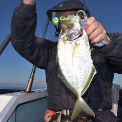 渡船屋たにぐち 釣果