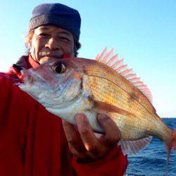 渡船屋たにぐち 釣果