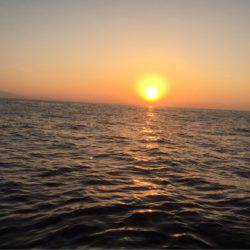 第二 海洋丸 釣果