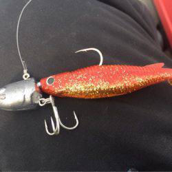 「LaGooN」蒼陽丸 日和号　 釣果