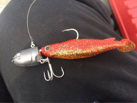 「LaGooN」蒼陽丸 日和号　 釣果