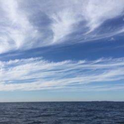 「LaGooN」蒼陽丸 日和号 釣果