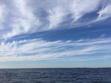 「LaGooN」蒼陽丸 日和号 釣果