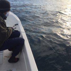 「LaGooN」蒼陽丸 日和号 釣果