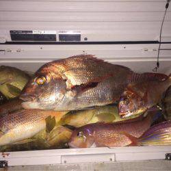 「LaGooN」蒼陽丸 日和号 釣果