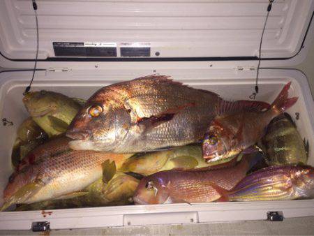 「LaGooN」蒼陽丸 日和号 釣果