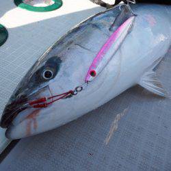 まるいち丸 ZERO-1 釣果