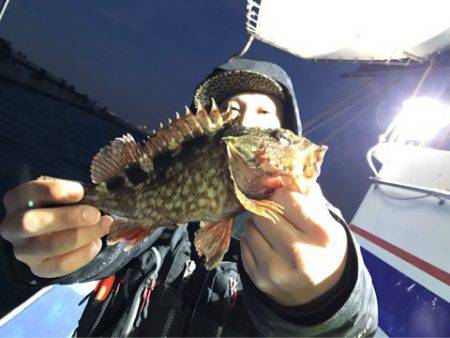 ヤザワ渡船 釣果