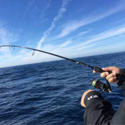 ＴＡＲＯＭＡＲＵ 釣果