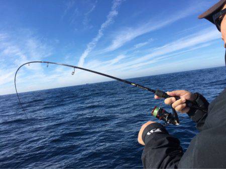 ＴＡＲＯＭＡＲＵ 釣果