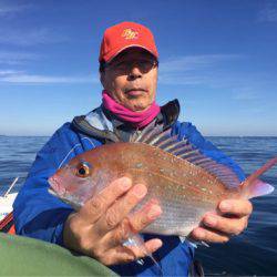 「LaGooN」蒼陽丸 日和号 釣果